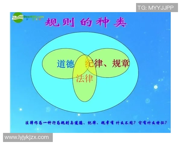 足球明星的法律边界与道德责任探讨 足球明星的法律边界与道德责任探讨