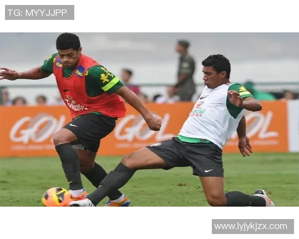 足球明星纳伊姆的传奇旅程与辉煌成就揭秘